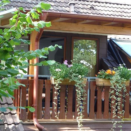 Haus Schwalbennest Lägenhet Undeloh Exteriör bild